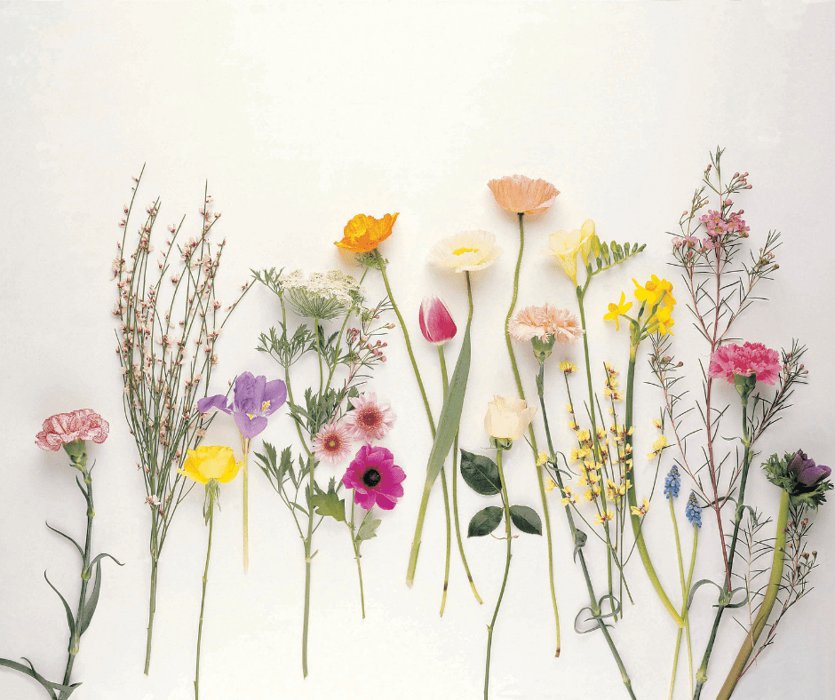 Untitled design (10)